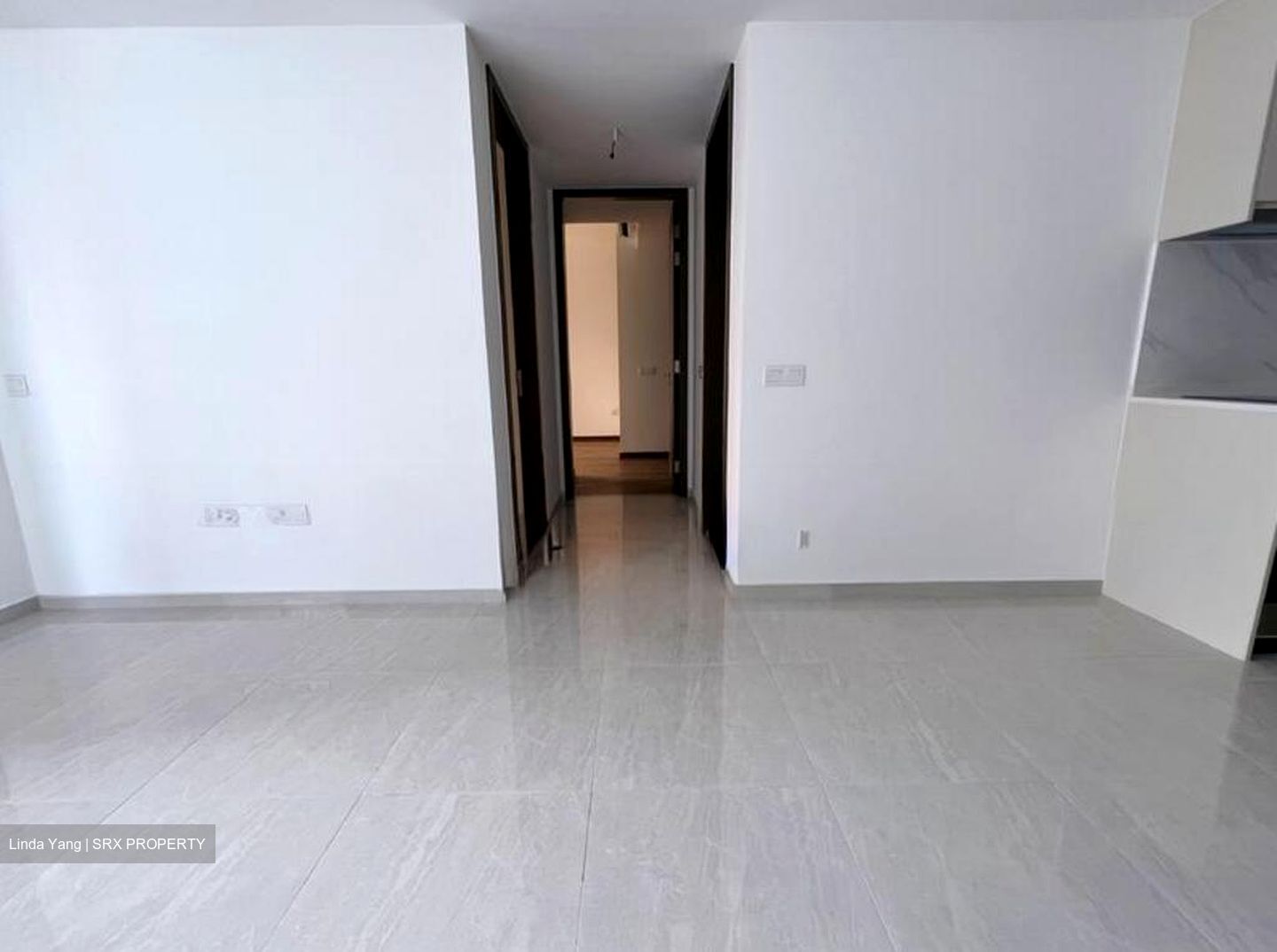 Kopar At Newton (D9), Apartment #565638611